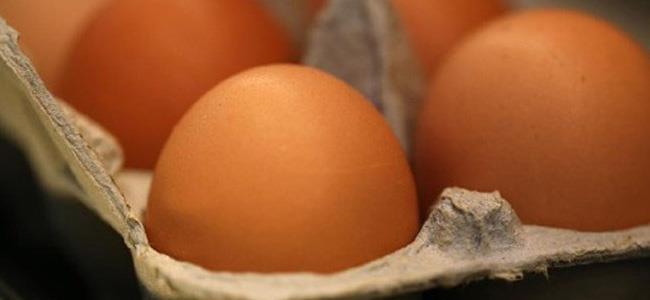  ما الذي يحدث في الجسم عند تناول ثلاث بيضات في اليوم