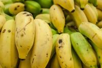  حقائق مذهلة عن الموز ستصدمك!