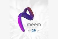 MEEM BANK 