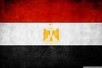 EGYPTIAN COMMERCIAL SERVICE