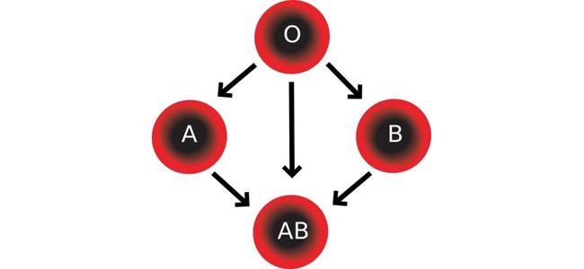 فئة دمك AB.. إذاً احذر!