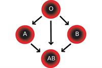 فئة دمك AB.. إذاً احذر!